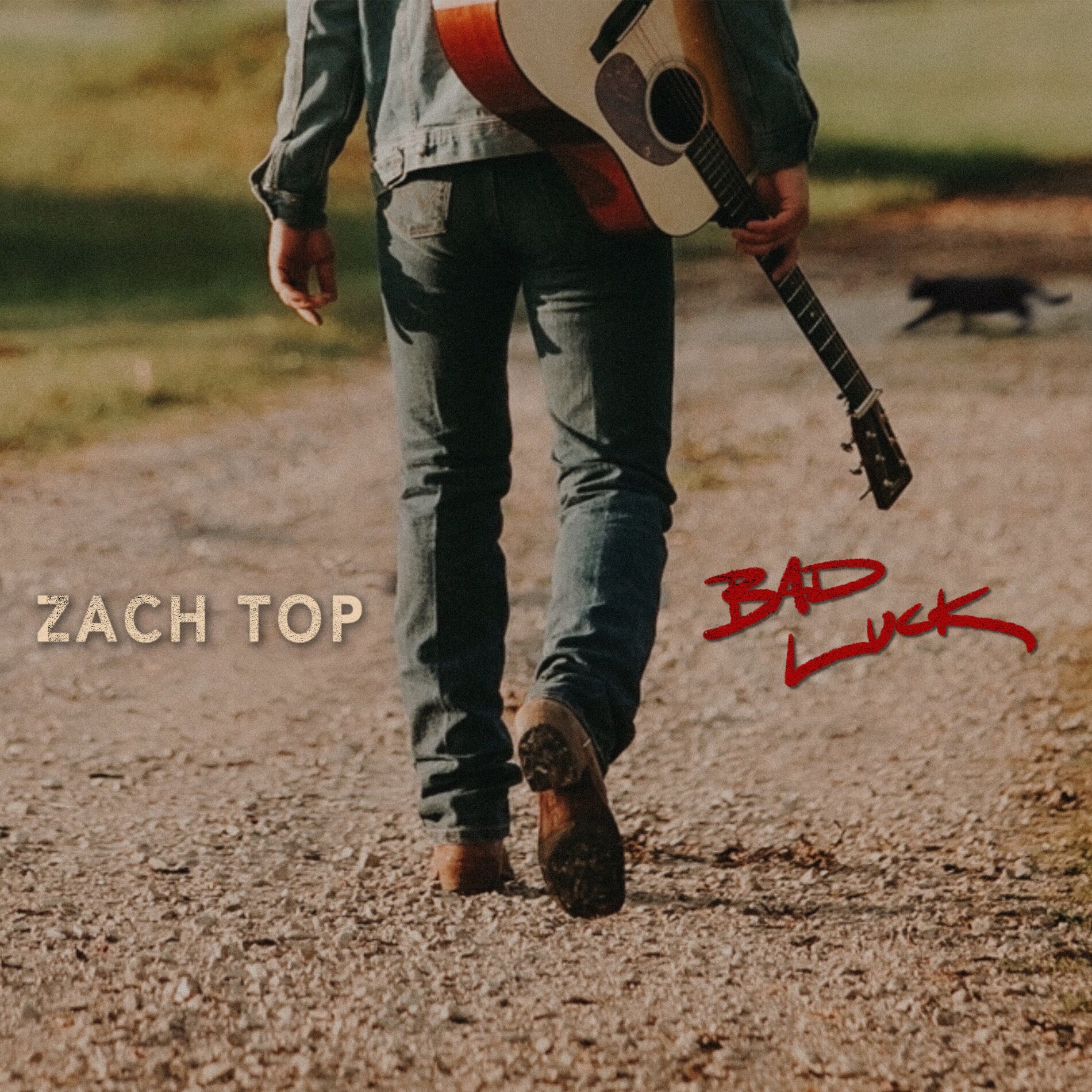Album cover of Bad Luck