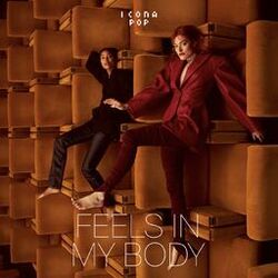 Cover of Feels In My Body