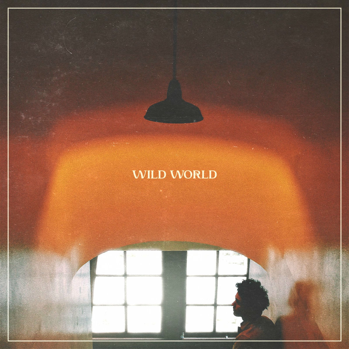 Album cover of Wild World