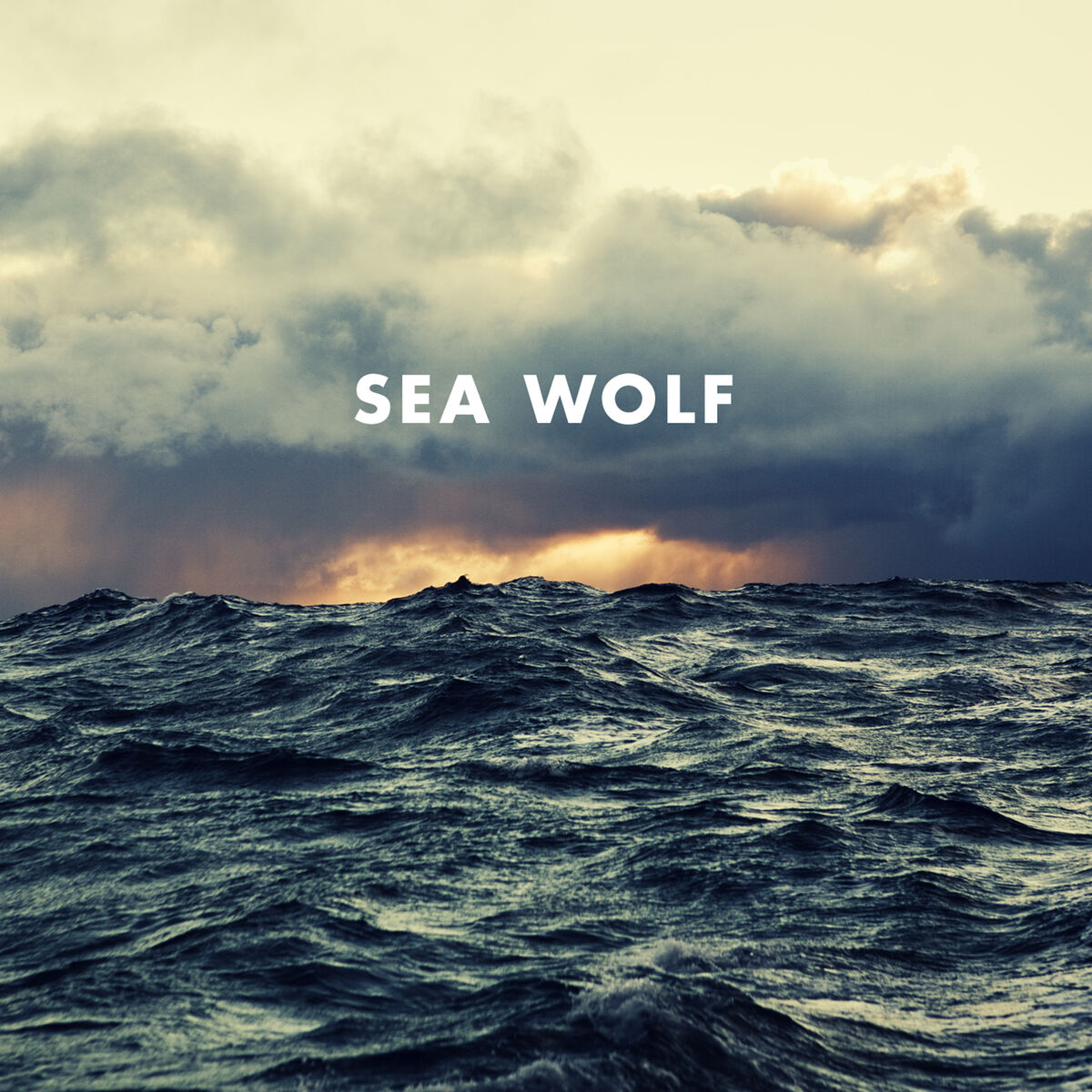 Album cover of Dear Fellow Traveller