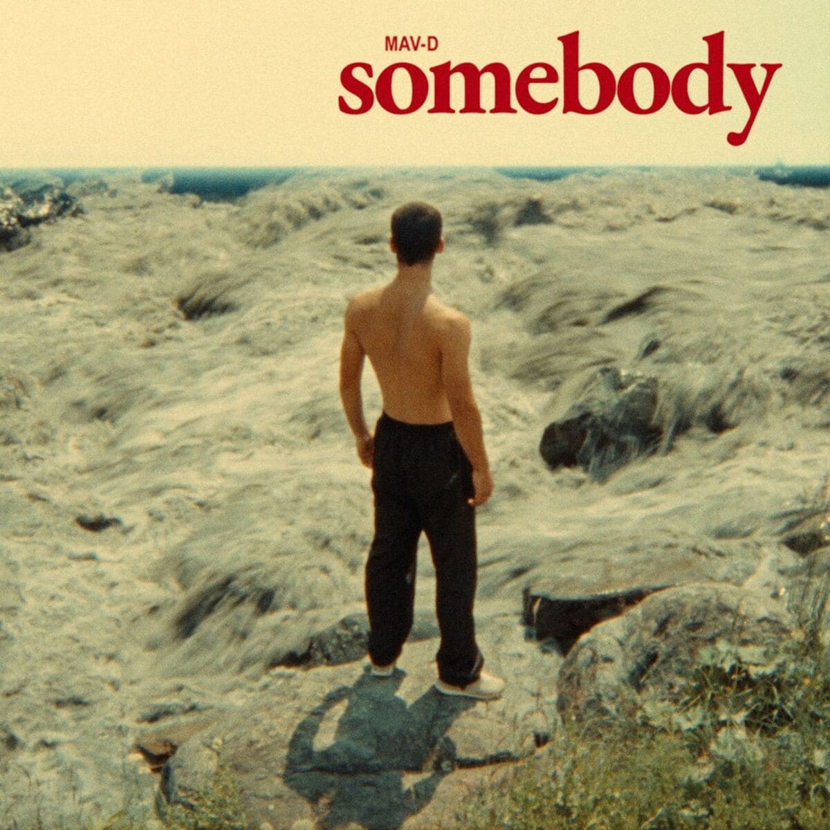 Album cover of Somebody