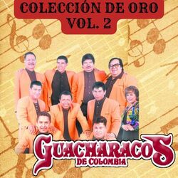 Cover of Colección de Oro Vol. 2