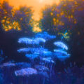 Golden (Sunset Mix)