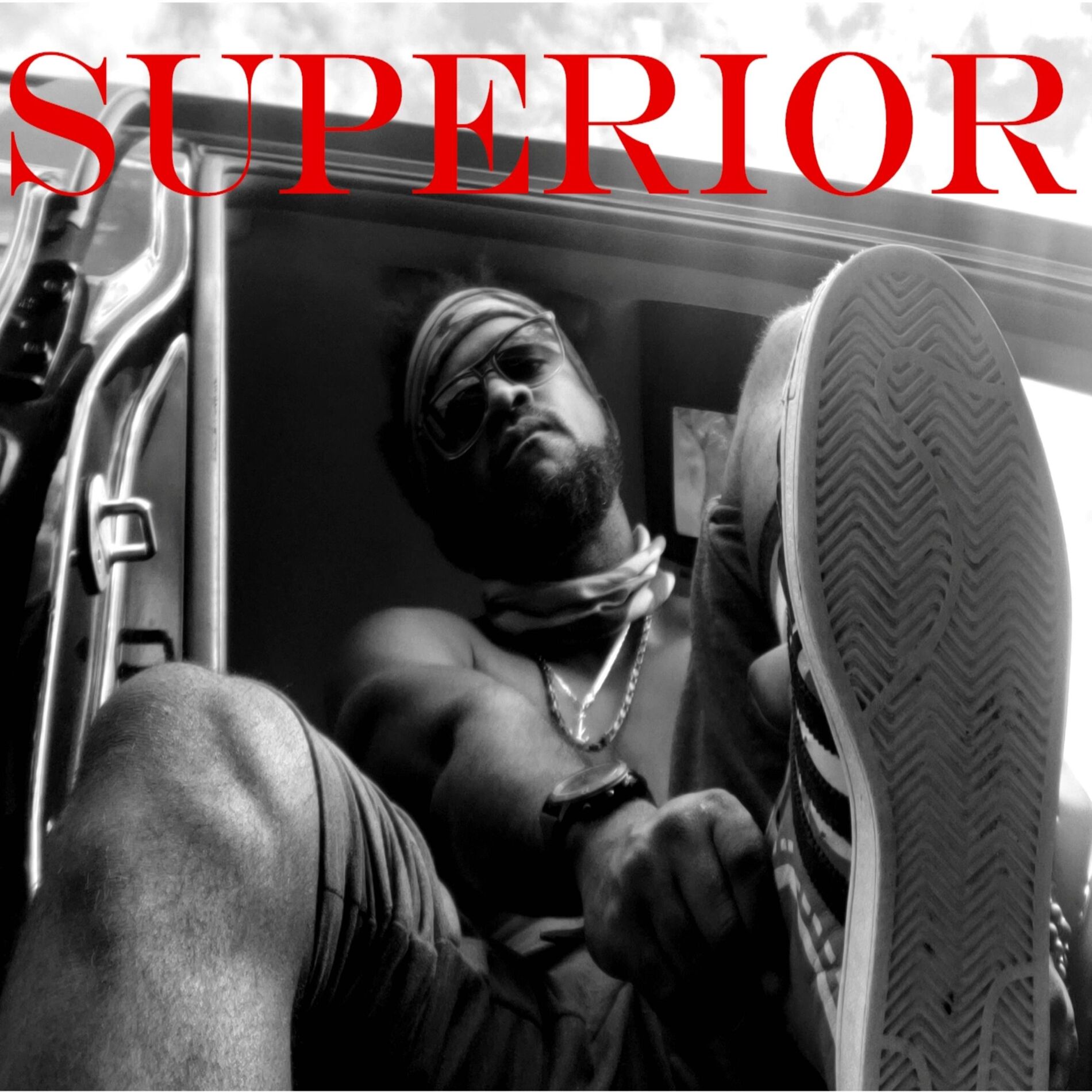 Album cover of Superior