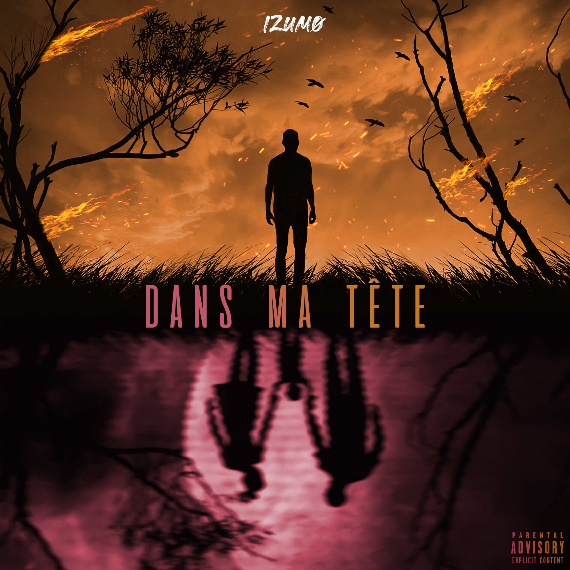 Album cover of Dans ma tête