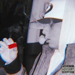 Cover of cruise control