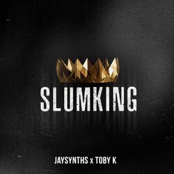 Cover of Slum King