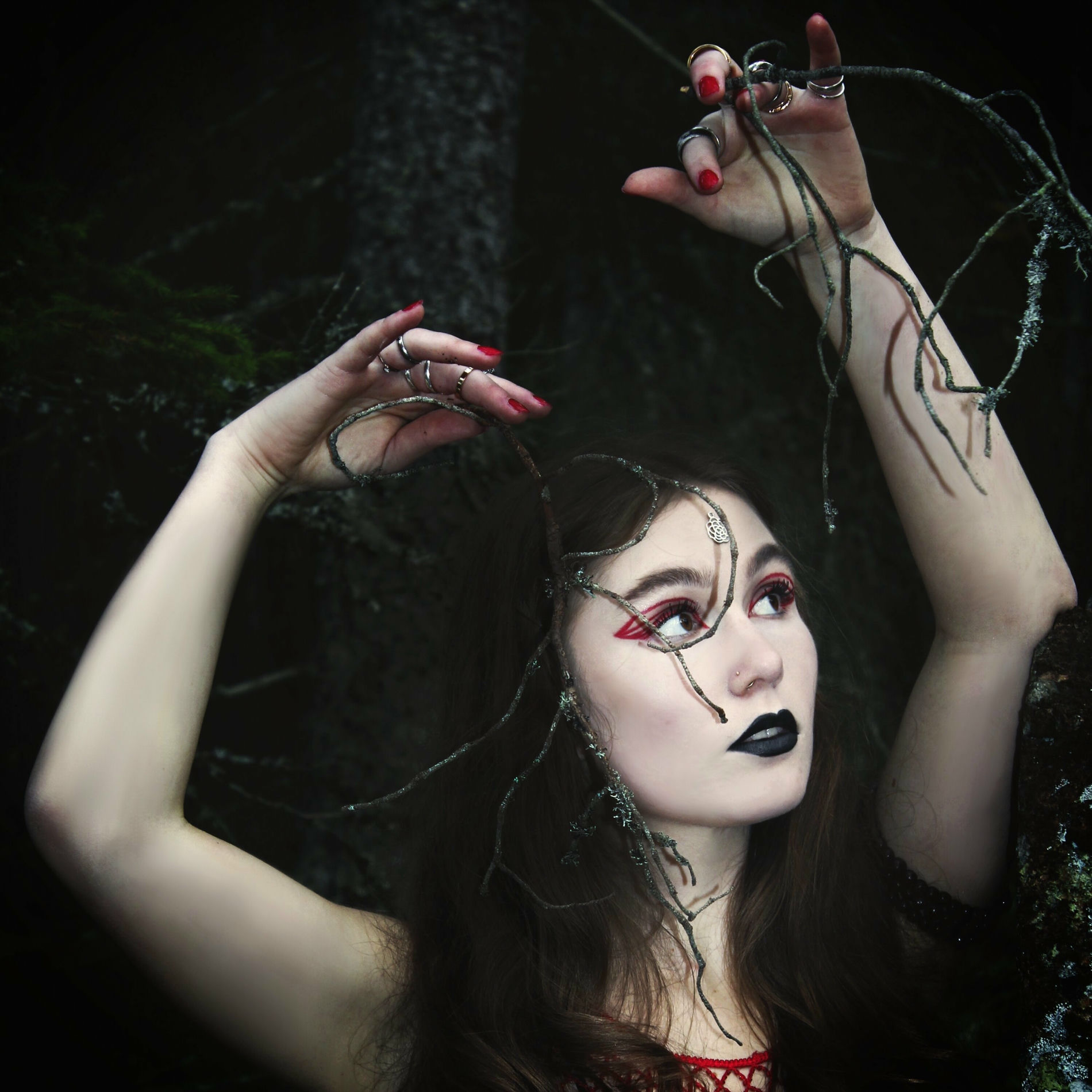 Album cover of Terälehdet