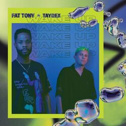 Cover of Wake Up