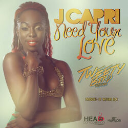 Cover of Need Your Love