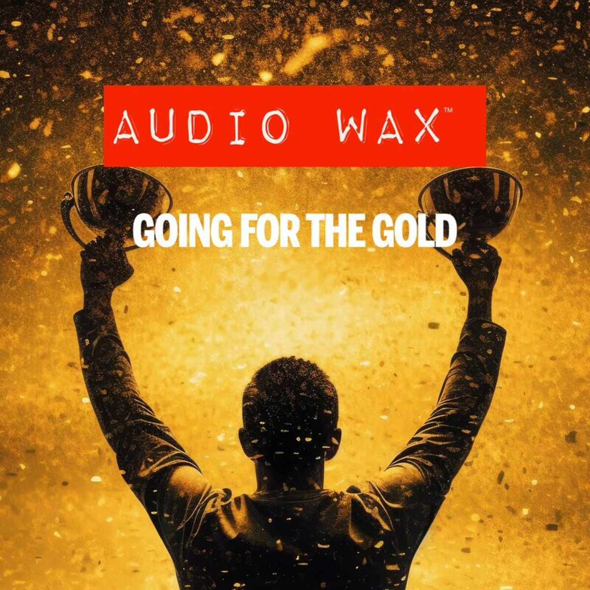 Album cover of Going For The Gold