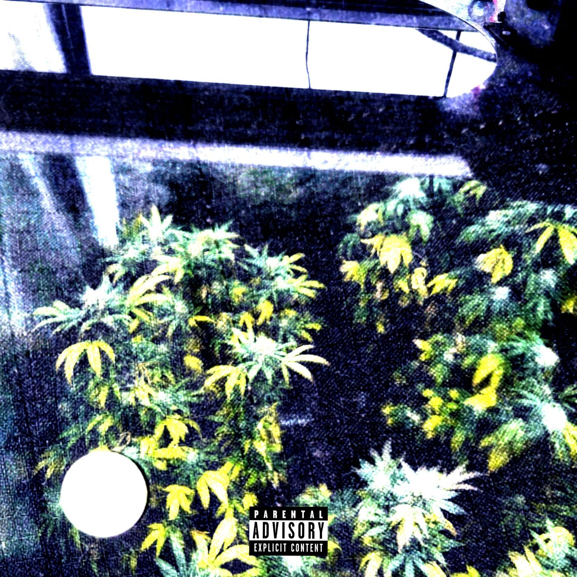 Album cover of MAJ#2 (feat. LX, MTS & teylo)