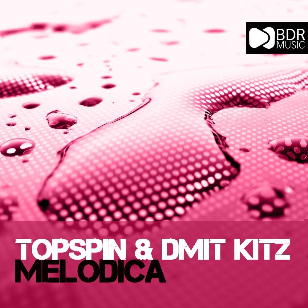 Picture of Melodica