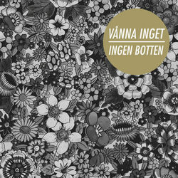 Cover of Ingen Botten