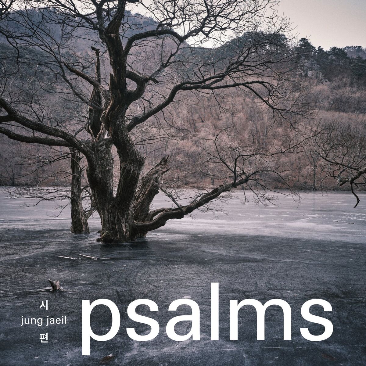 Album cover of psalms