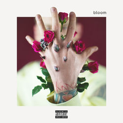 Cover of bloom (Deluxe)