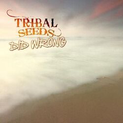 Cover of Did Wrong