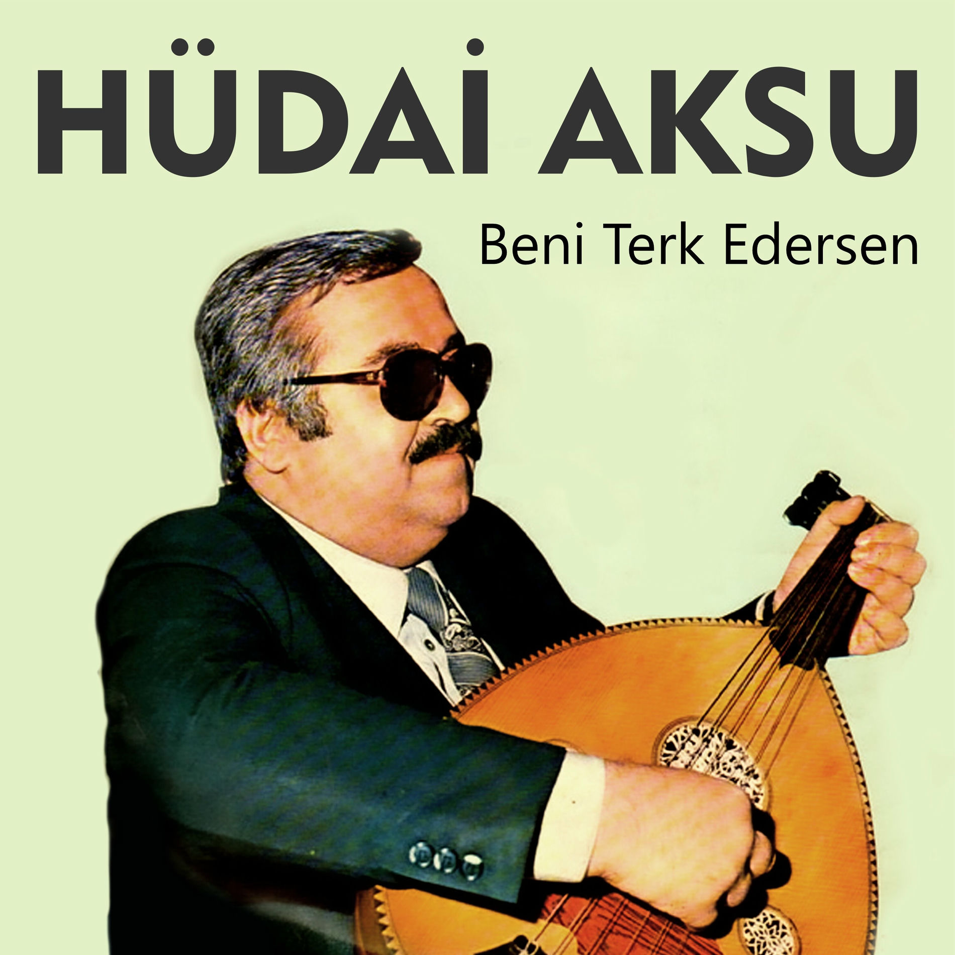 Album cover of Beni Terk Edersen