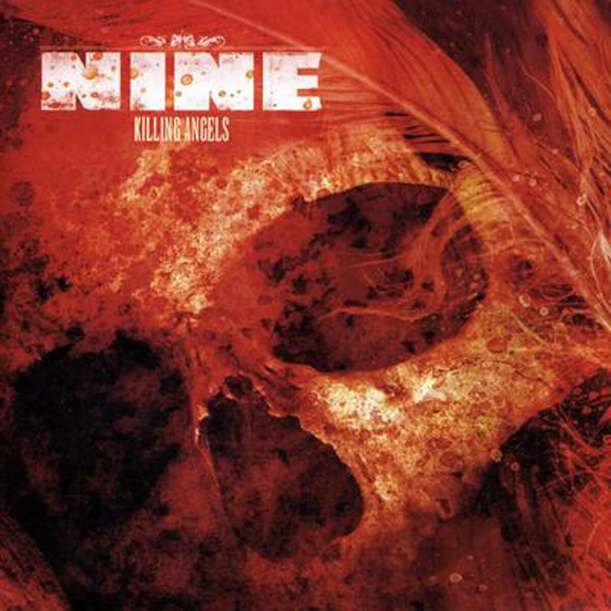 Album cover of Killing Angels