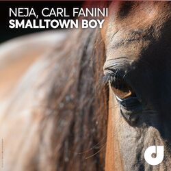 Cover of Smalltown Boy (Single)