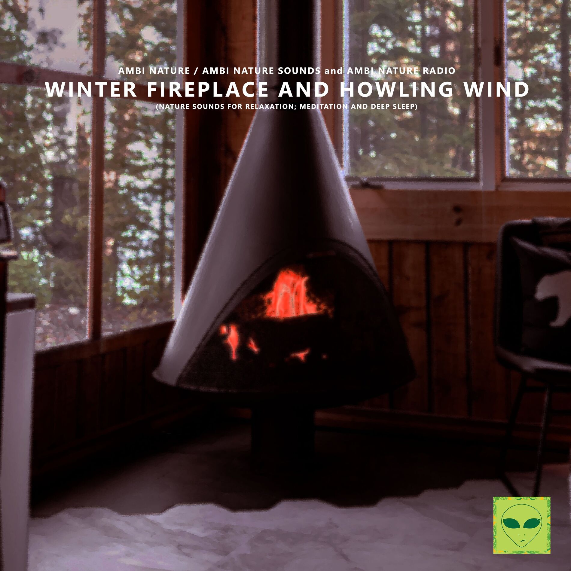 Album cover of Winter Fireplace and Howling Wind (Nature Sounds for Relaxation, Meditation and Deep Sleep)