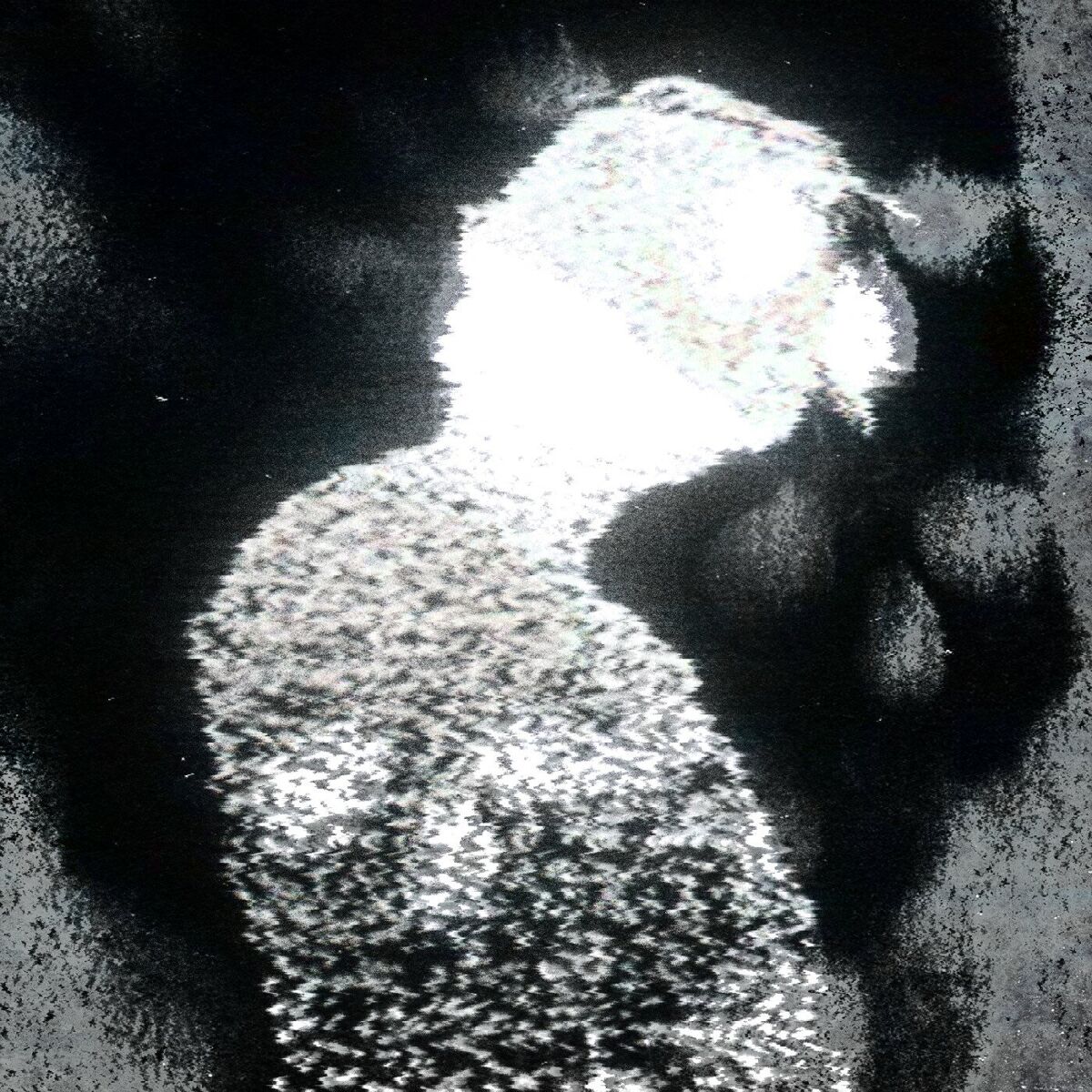 Album cover of HARMONIA DA MORTE