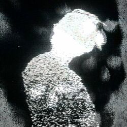 Cover of HARMONIA DA MORTE