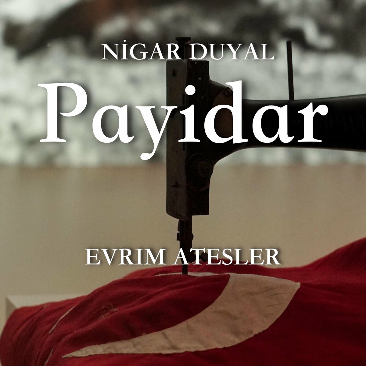 Album cover of Payidar