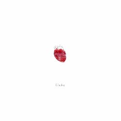 Cover of Liebe
