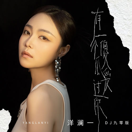 有个傻瓜爱过你(DJ九零版)