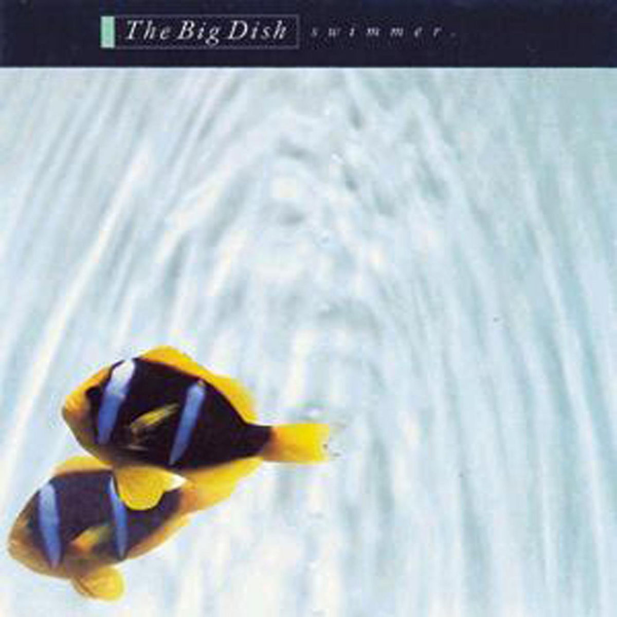Album cover of Prospect Street