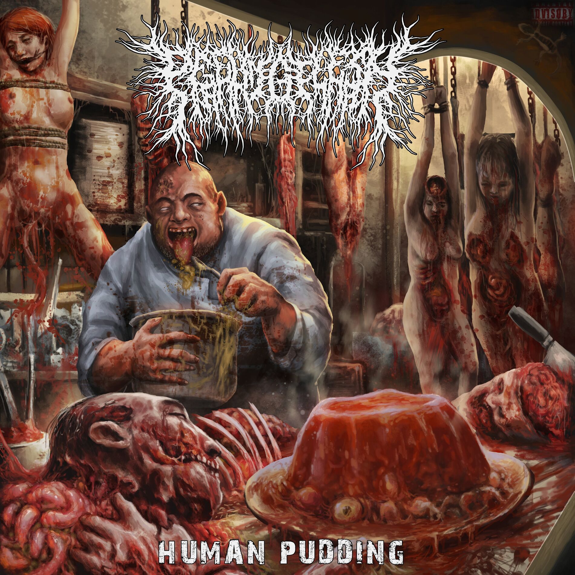 Album cover of Human Pudding