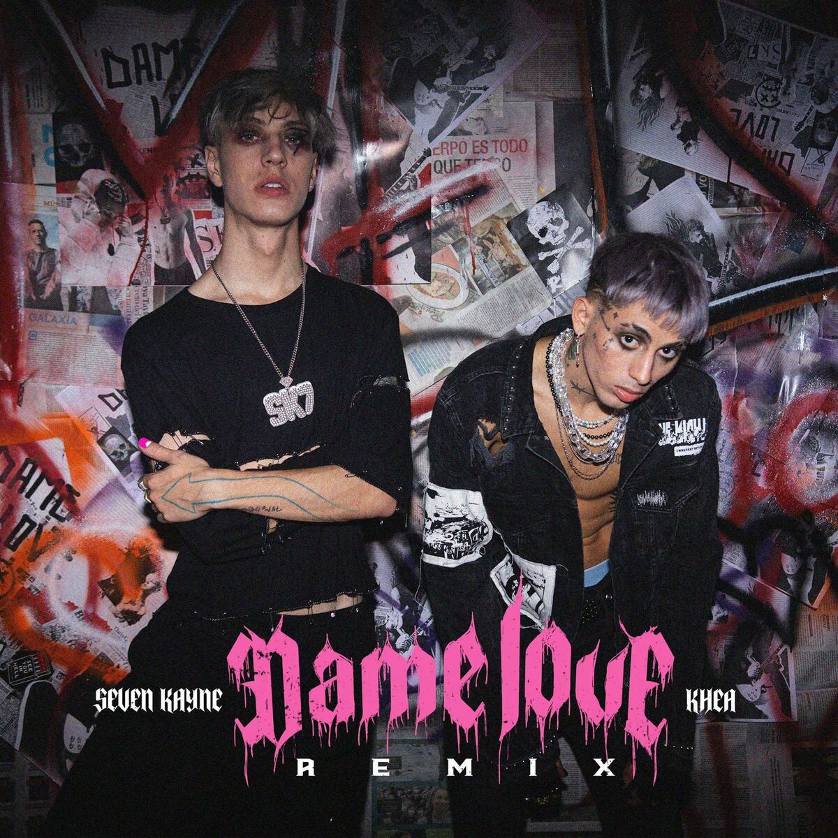 Album picture of Dame Love (Remix)