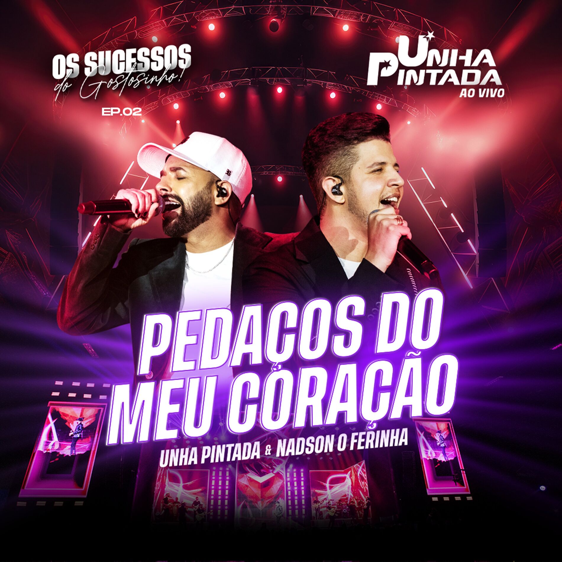 Album cover of Pedaços do Meu Coração