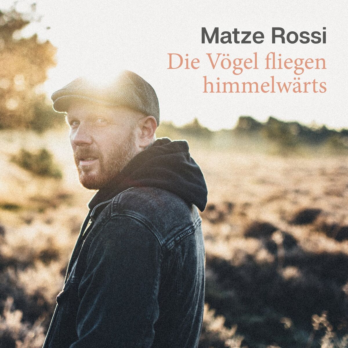 Album cover of Die Vögel fliegen himmelwärts