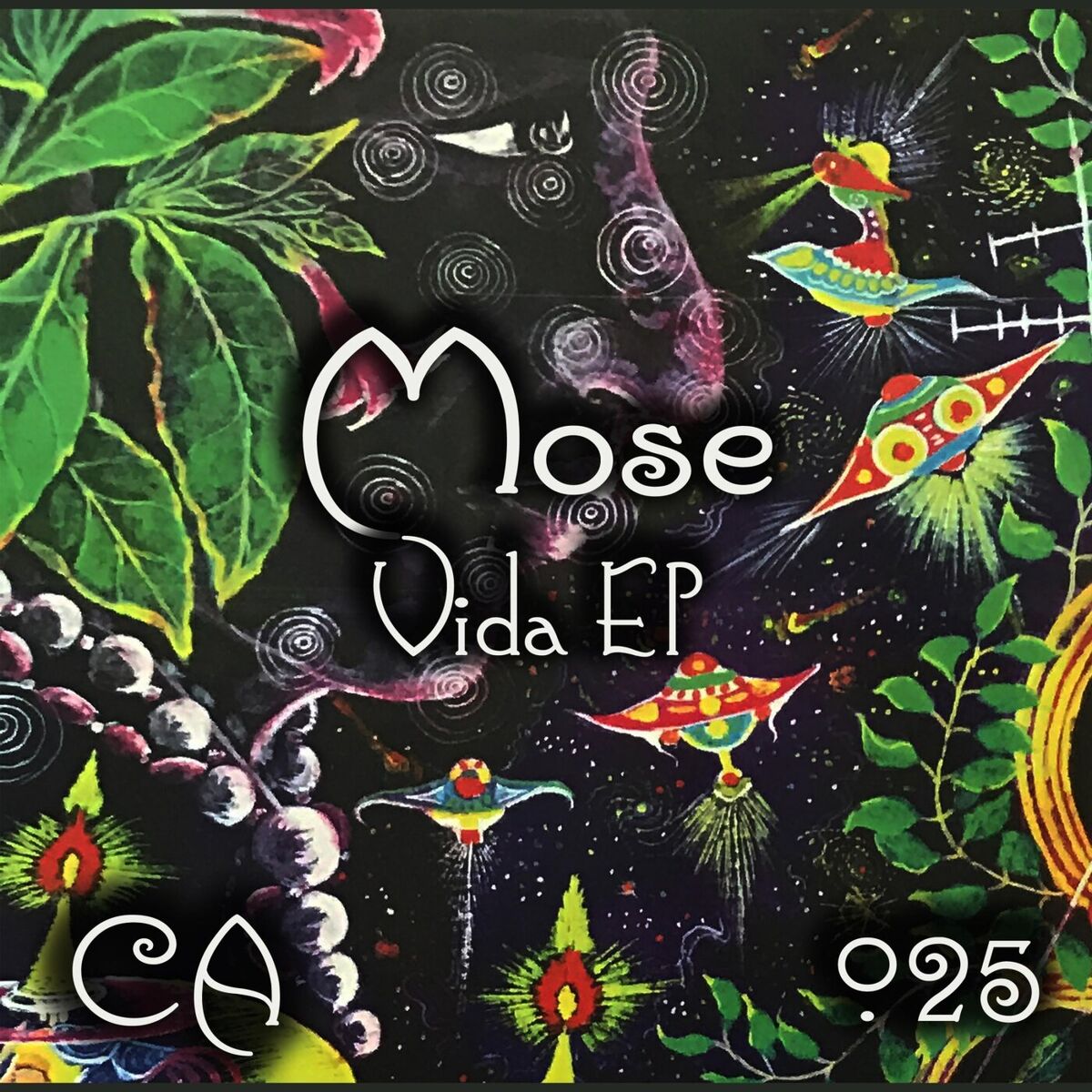 Album cover of Vida