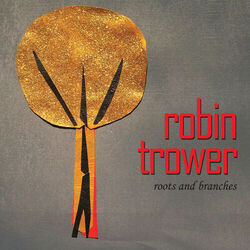 Cover of Roots And Branches