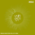Redux Selection, Vol. 7 / 2026