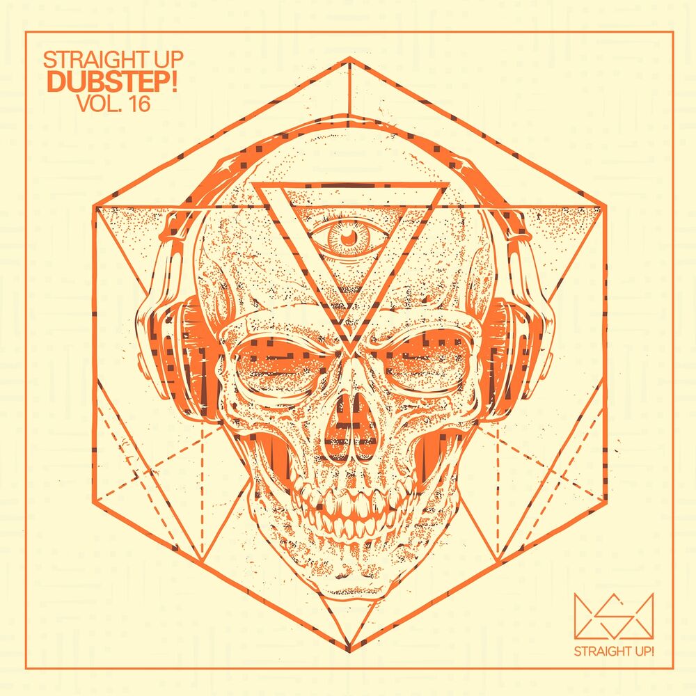 Picture of Straight Up Dubstep! Vol. 16