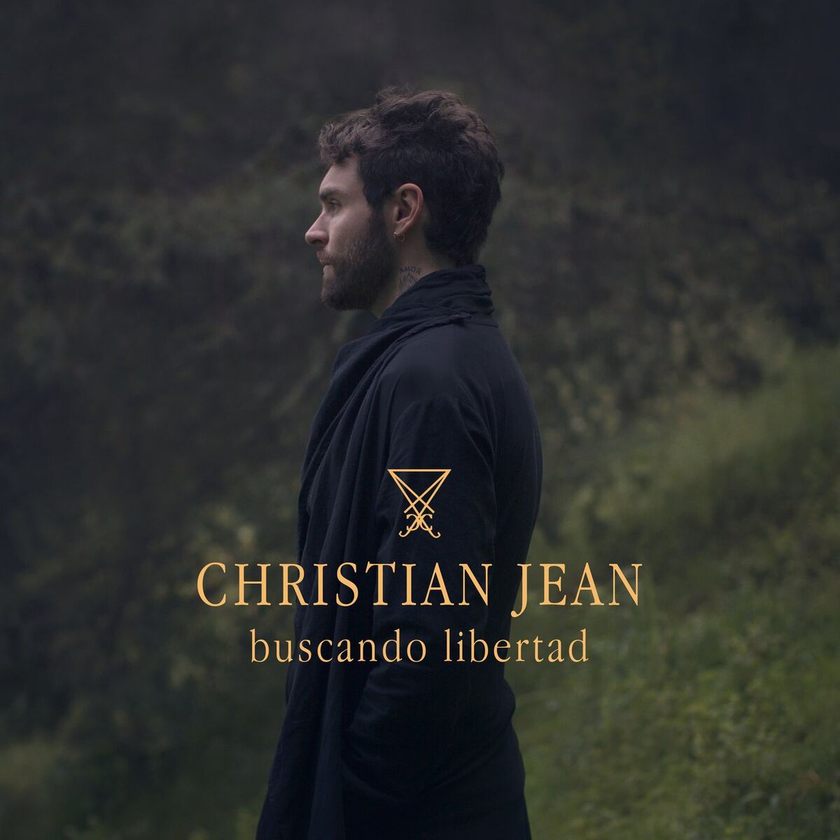 Album cover of Buscando Libertad