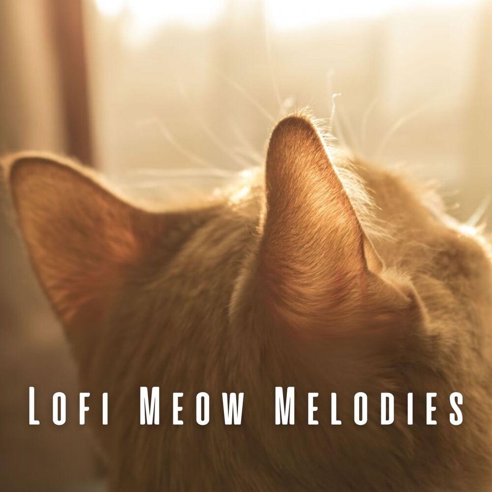 Picture of Lofi Meow Melodies: Soothing Tracks for Peaceful Cats