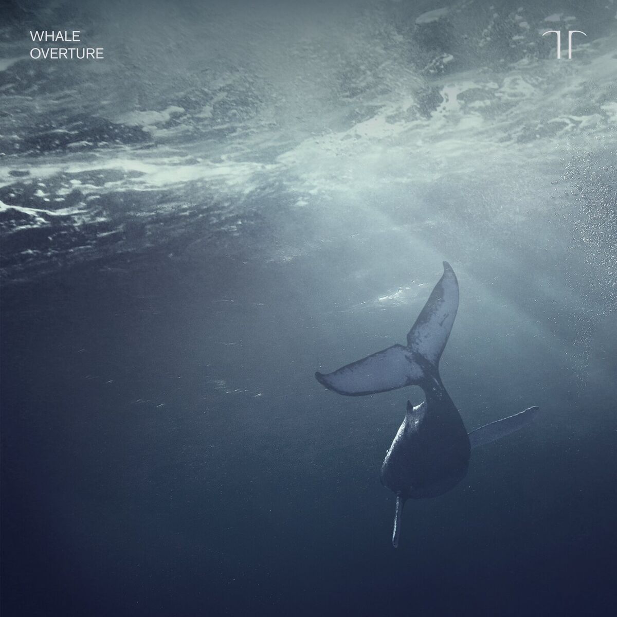 Album cover of Whale Overture