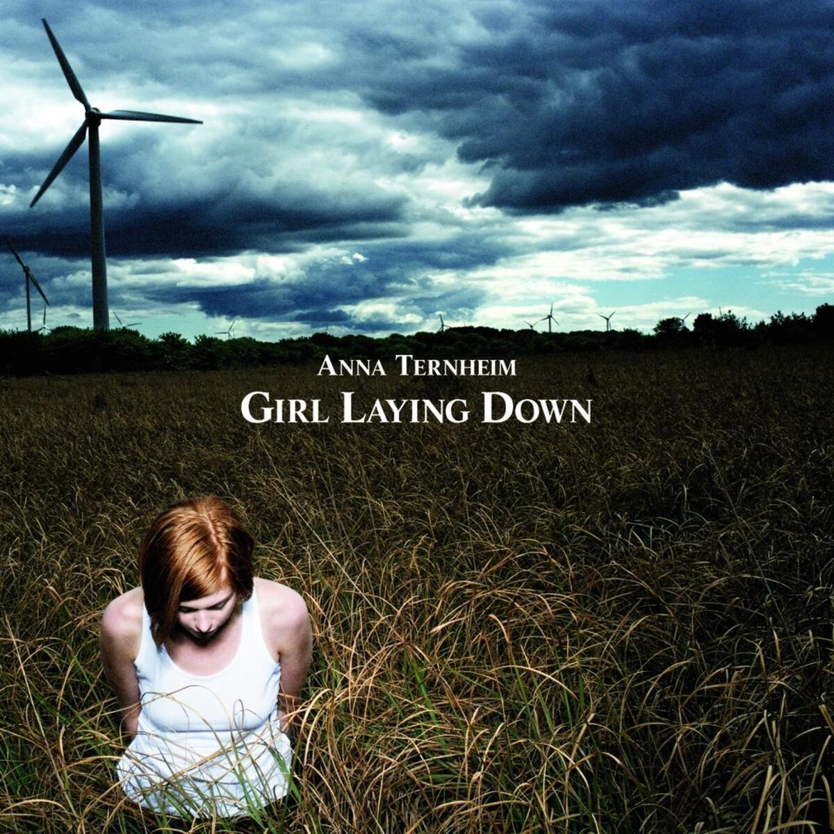 Album cover of Little Lies