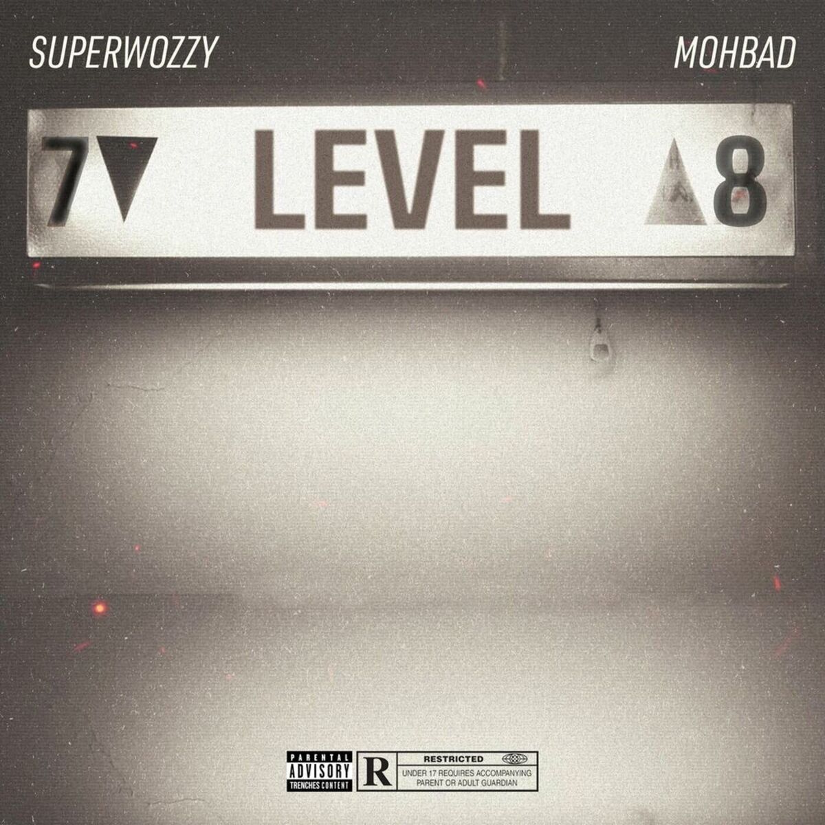 Album cover of Level