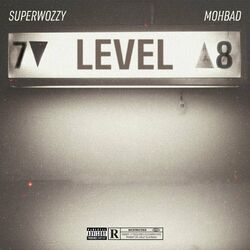 Cover of Level