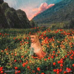 Cover of Summer Rain