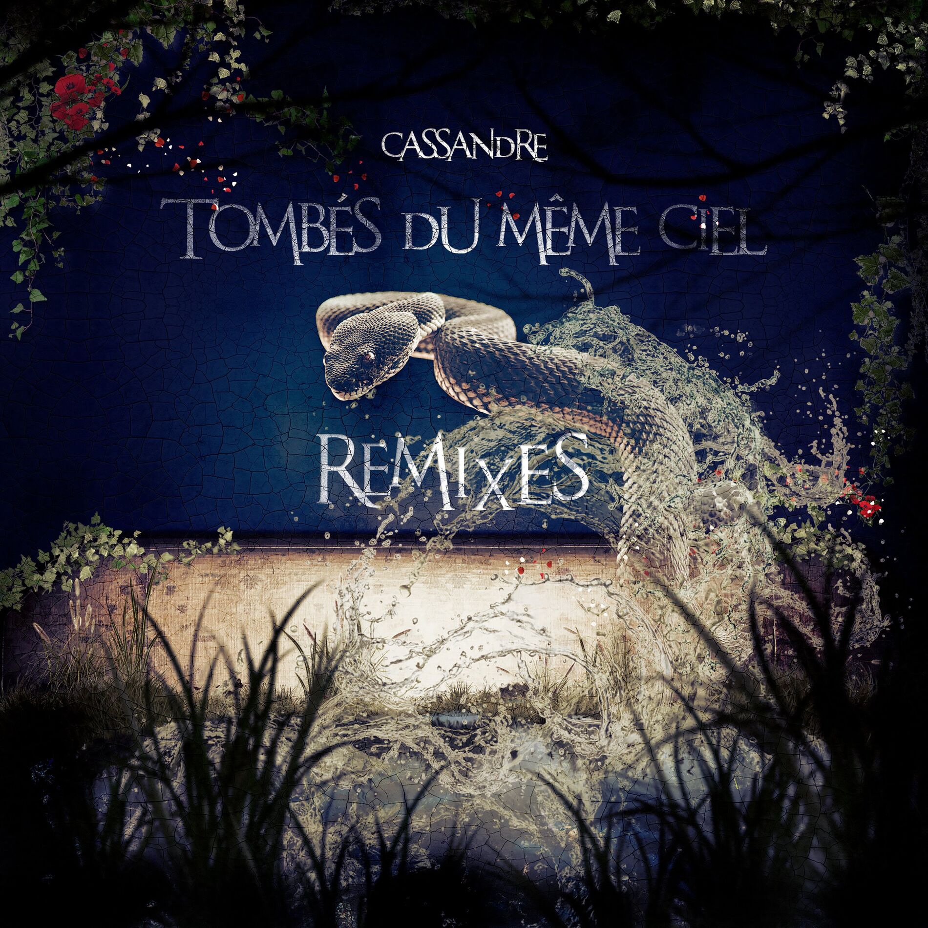 Album cover of Tombés du même ciel (Remixes)