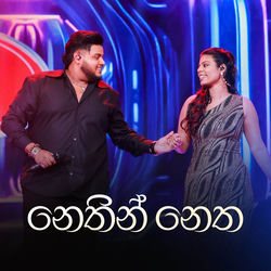 Cover of Nethin Netha (Dream Star Version) by undefined