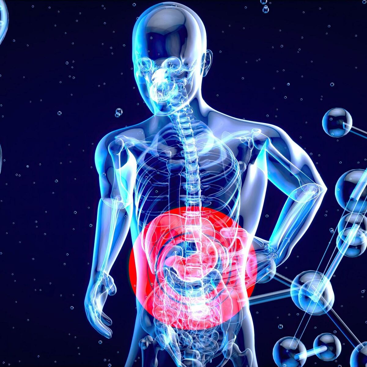 Album cover of Digestive Healing for a Healthy Gut: Frequency Treatment for Stomach Relief and System Cleanse