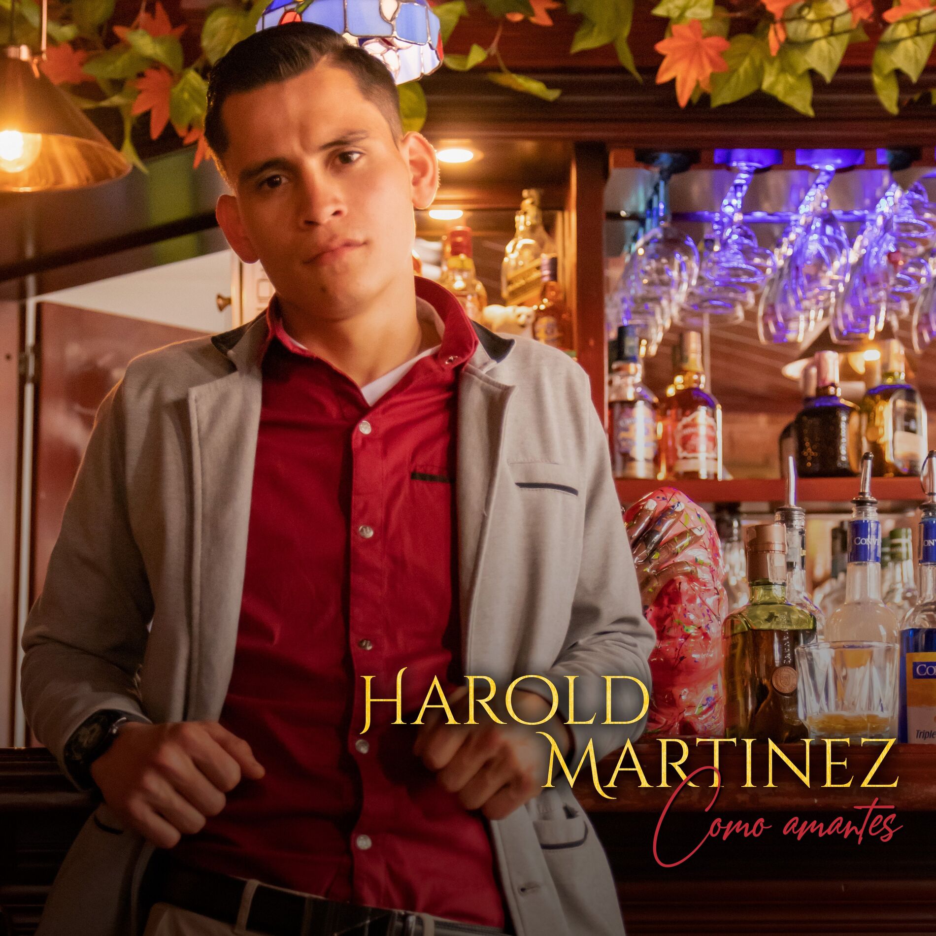 Album cover of Como Amantes